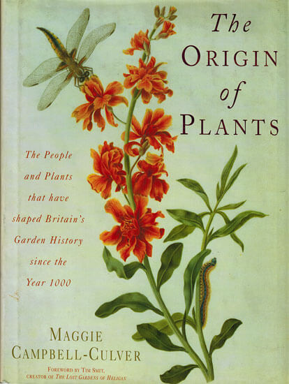 THE ORIGIN OF PLANTS 1